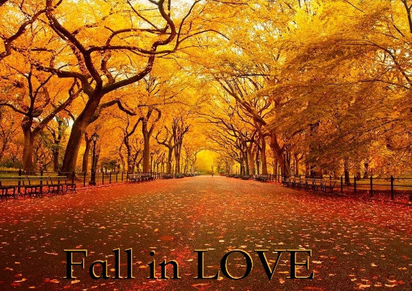 Enjoy the Cold Seasons...With Our Selections of affordable Winter Coats.