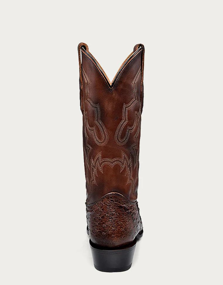 Corral A4548 Men's Brown Ostrich Narrow SQ Toe Cowboy Boot