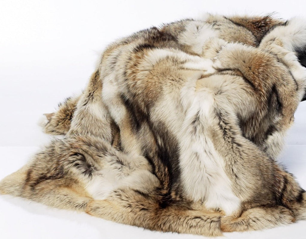 Luxury high quality Coyote Throw Full Skins 50x 60 with Ultra suede backing - Saratoga Saddlery & International Boutiques