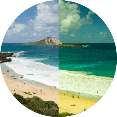 Maui Jim Wassup Sunglasses in Black with Neutral Grey Lens - Saratoga Saddlery & International Boutiques