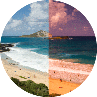 Maui Jim Women's Mannakin Sunglasses in Red Stripe - Saratoga Saddlery