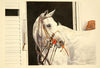 Melinda Brewer Chukker End Watercolor Painting - Saratoga Saddlery