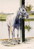 Melinda Brewer Last Chukker Watercolor Painting - Saratoga Saddlery