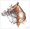 Melinda Brewer Pair of Ponies Watercolor Painting - Saratoga Saddlery