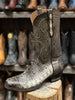 Black Jack Men's Caiman Grey Natural NT7139-V4 SS25