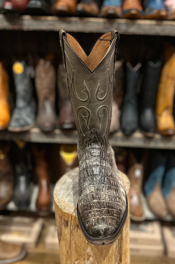 Black Jack Men's Caiman Grey Natural NT7139-V4 SS25