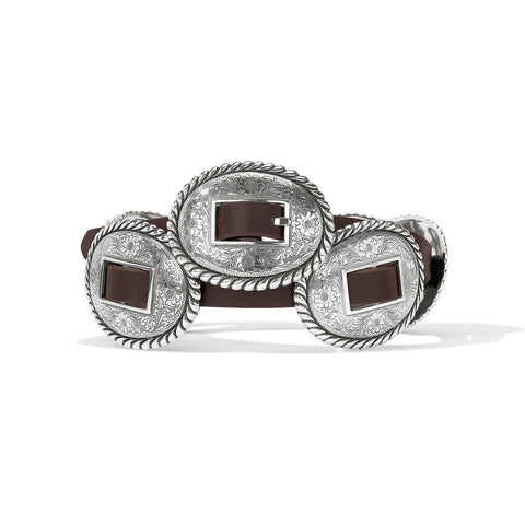 Lucky Horseshoe Mens Ties