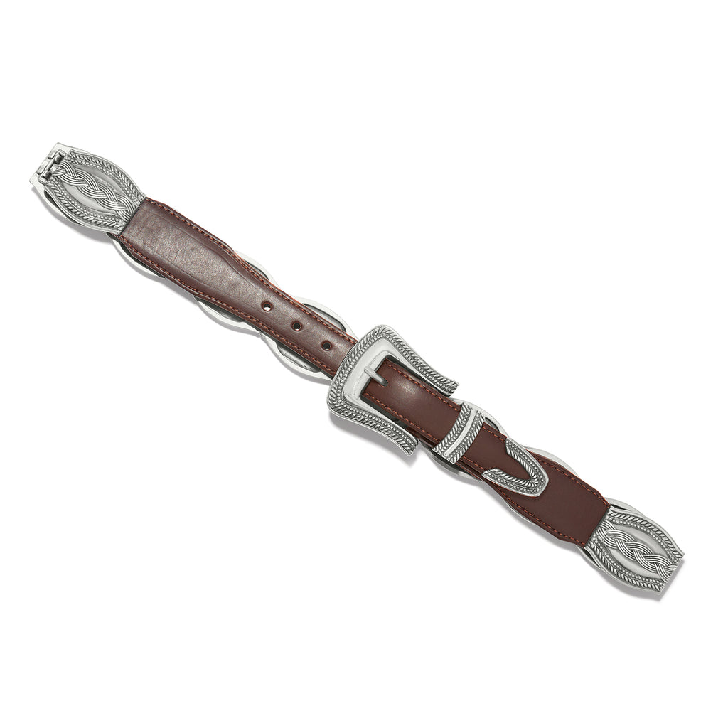Brown leather belt with silver buckles on a white background