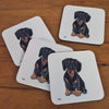 Zeppa Studios - BC0404-4Dachshund Black & Tan Beverage Coasters SS26