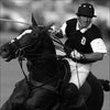 Polo Life Book by Adam Snow Polo Life Hardcover Book - Saratoga Saddlery & International Boutiques