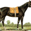 Ox Bow Hand TOWEL Horse Out To Pasture Equestrian White and Oatmeal FW20 - Saratoga Saddlery & International Boutiques