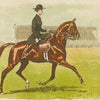 Ox Bow Hand Towel Dressage with Female Rider White and Oatmeal FW20 - Saratoga Saddlery & International Boutiques