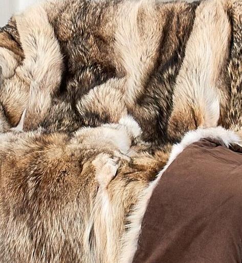 Luxury high quality Coyote Throw Full Skins 50x 60 with Ultrasuede backing - Saratoga Saddlery & International Boutiques