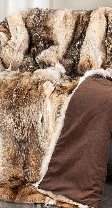 Luxury high quality Coyote Throw Full Skins 50x 60 with Ultrasuede backing - Saratoga Saddlery & International Boutiques