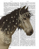 FabFunky Horse Buckskin W/ Jeweled Bridle book print - Saratoga Saddlery & International Boutiques