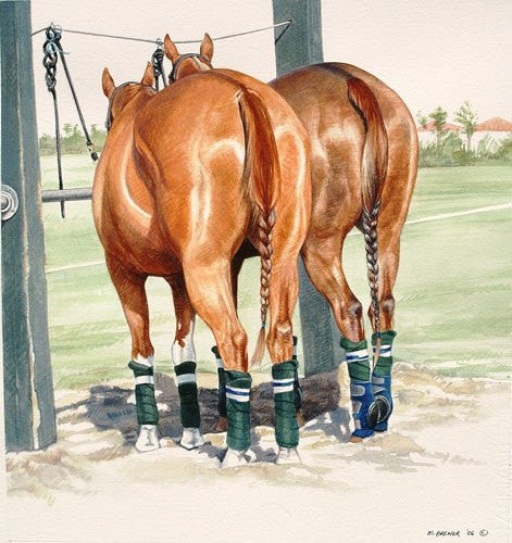 Melinda Brewer Pony Line Watercolor Painting - Saratoga Saddlery & International Boutiques